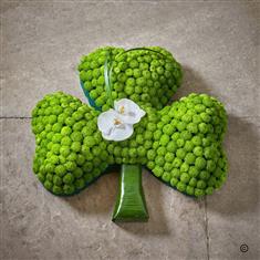 Fresh Flower Shamrock Shape Funeral Tribute 
