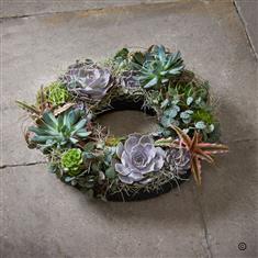 Fresh Succulent Eternal Circle Wreath Planter Funeral Tribute 
