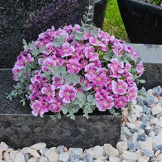 Artificial Grave Flowers - Purple Sweet William 