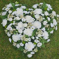 Fresh White Carnation Heart Large Funeral Tribute