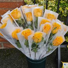 Single Wrapped Luxury Long Stemmed Roses