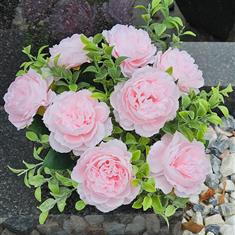 Artificial Grave Flowers - Pale Pink Rose &amp; Eucalyptus 