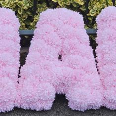 Artificial Funeral Tribute NAN Letters for Hire 