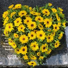 Fresh Flower Medium Size Heart Tribute - Yellow Baby Sunflowers 
