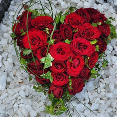 Fresh Red Rose Heart Shaped Tribute with Ivy Tail
