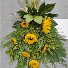 Sheaf ECO