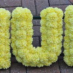 HIRE - MUM artificial letters Lemon 