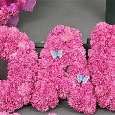 HIRE - GRANDAUGHTER funeral letters tribute 