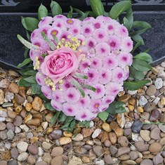 Fresh Flower Mini Heart Tribute - Pinks 